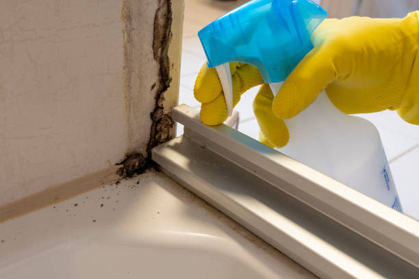 Best Crawl Space Mold Removal  in Edmond, OK