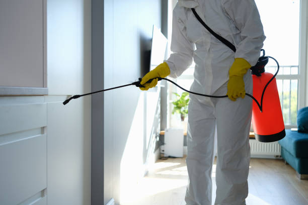 Best Mold Cleaning Services  in Edmond, OK