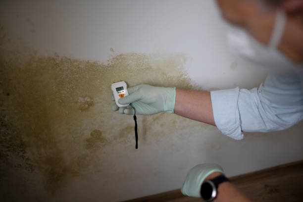 Best Professional Mold Removal  in Edmond, OK