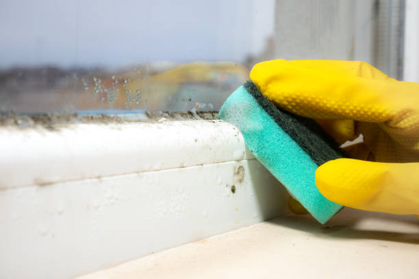 Best Mold Removal Near Me  in Edmond, OK